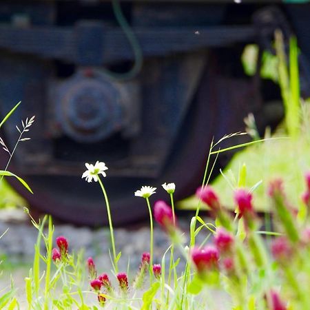 Urlaubsbahnhof-Schlafwagen Villa Lauterbach  Bagian luar foto